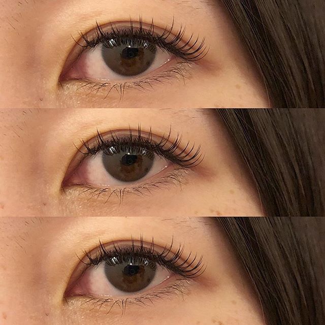 Hearty Eyelash All Black 公式 高崎市の美容室hearty ハーティー
